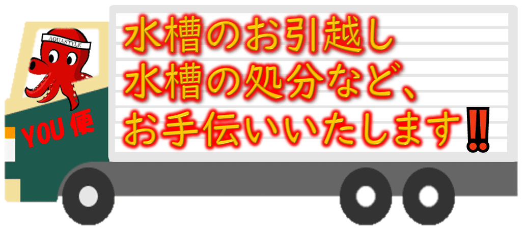 水槽のお引越しをお手伝いします アクアスタイルユー Aquastyleyou 海水魚 サンゴの通販 販売