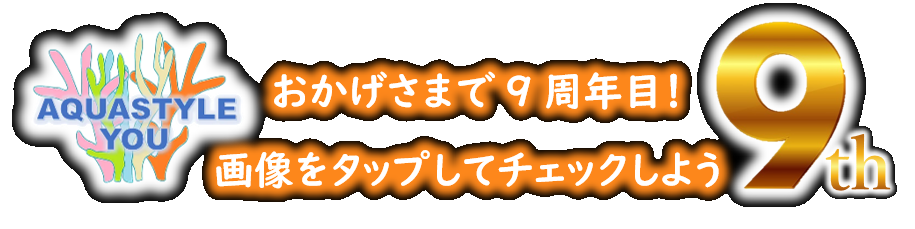 アクアスタイルユー（AQUASTYLEYOU）｜海水魚・サンゴの通販 販売