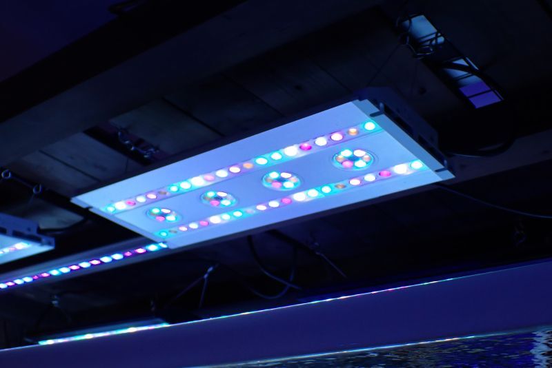サンゴ育成LED照明 SPECTRA スペクトラ SP200 - AQUASTYLE YOU（アクア 